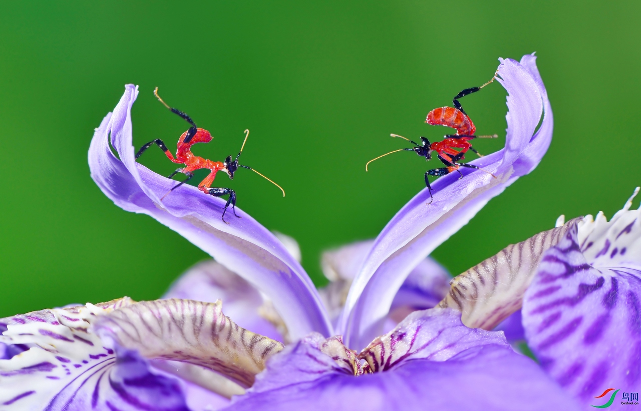 DSC_4141 ��������.jpg