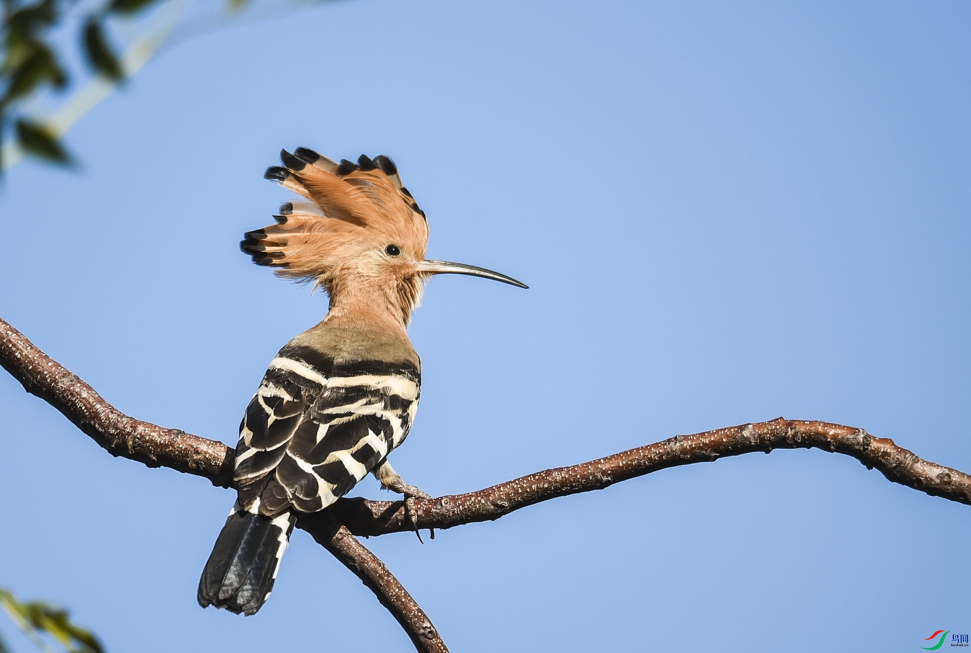 DSC_0624a.jpg