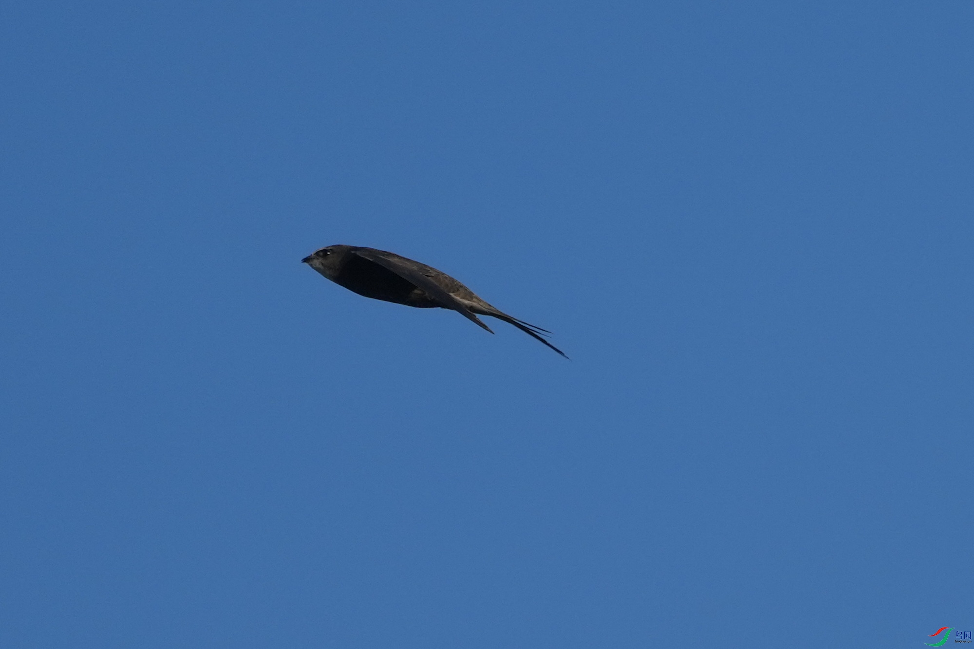 DSC09454.JPG