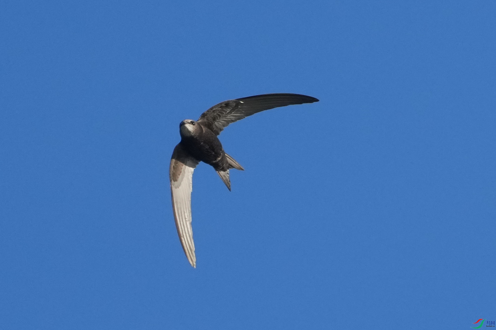 DSC09459.JPG