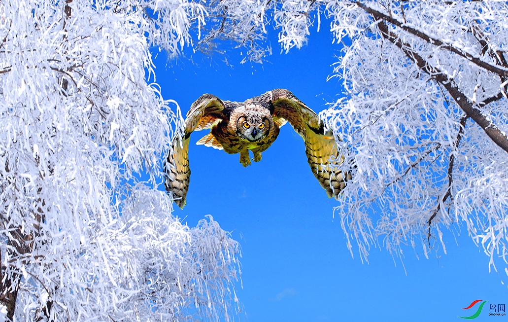 5.��Խ-���{6699AM.jpg