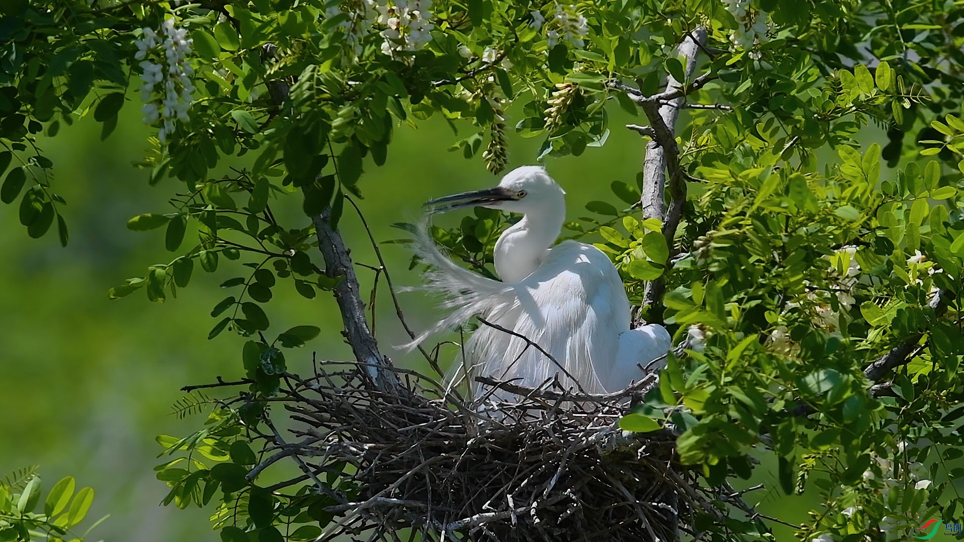 DSC_7848 2 �ϴ� ��ĸ���.jpg
