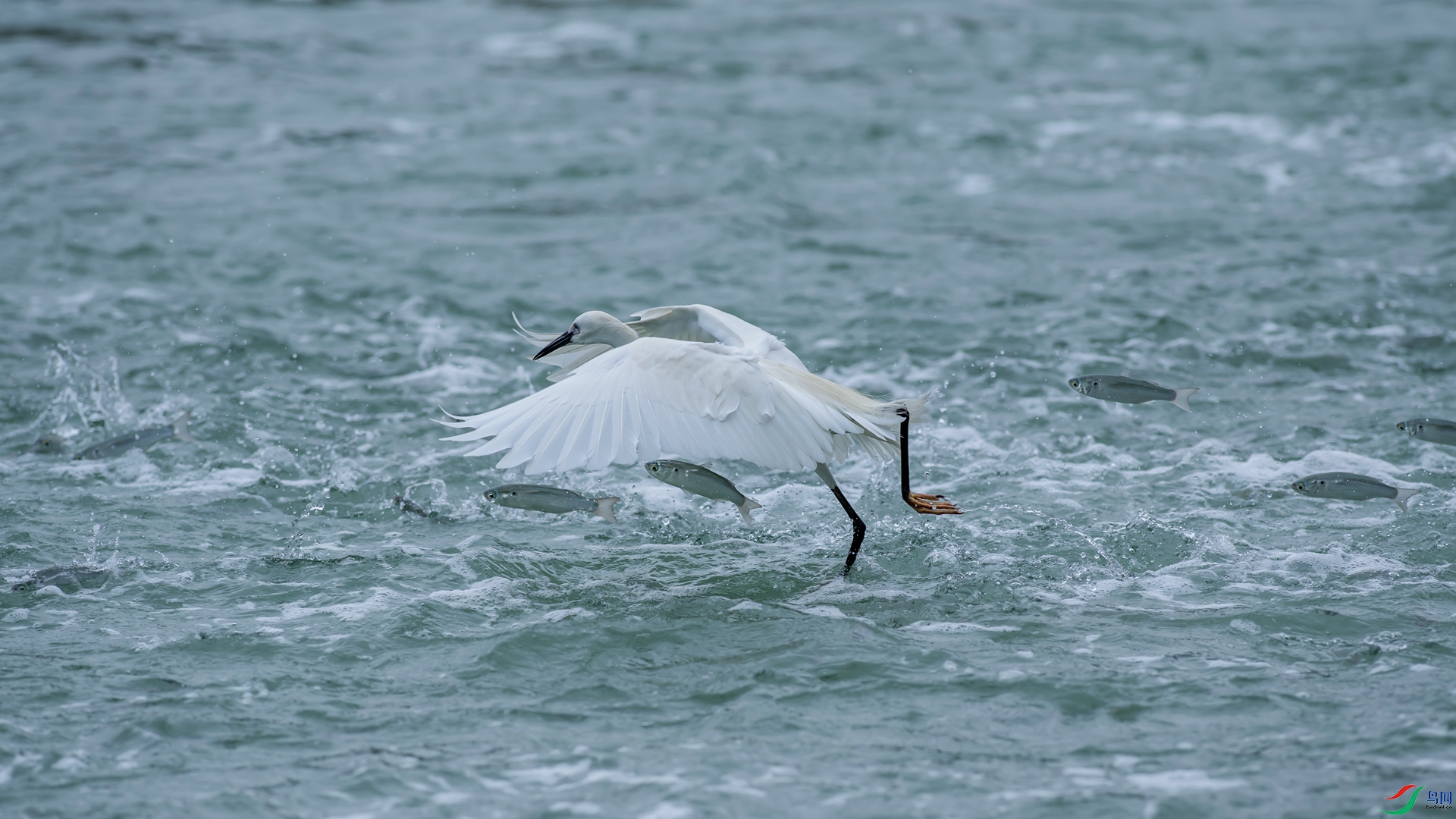DSC_3853-12.jpg