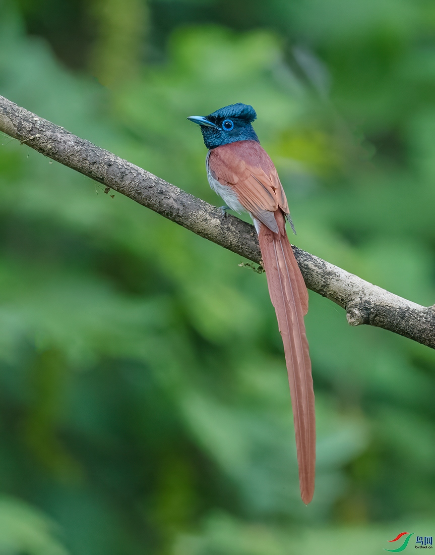 _DSC8606.jpg