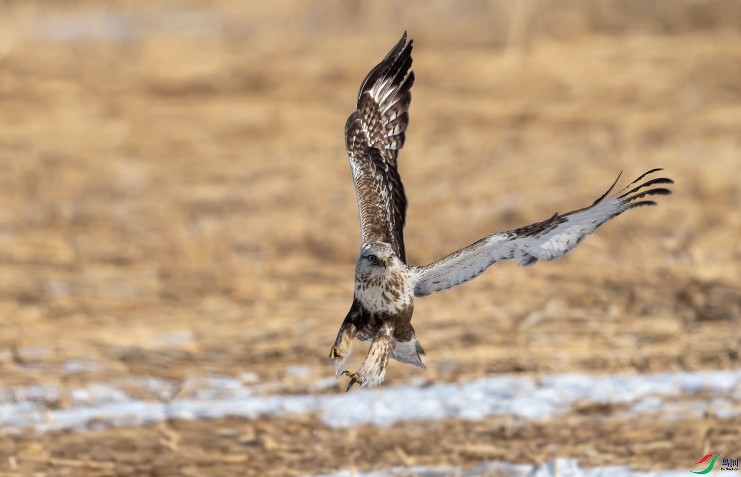 _DSC1679--���ض���.jpg