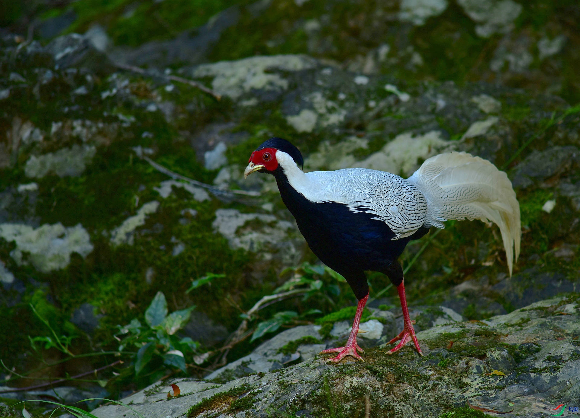 D8I_2696.jpg