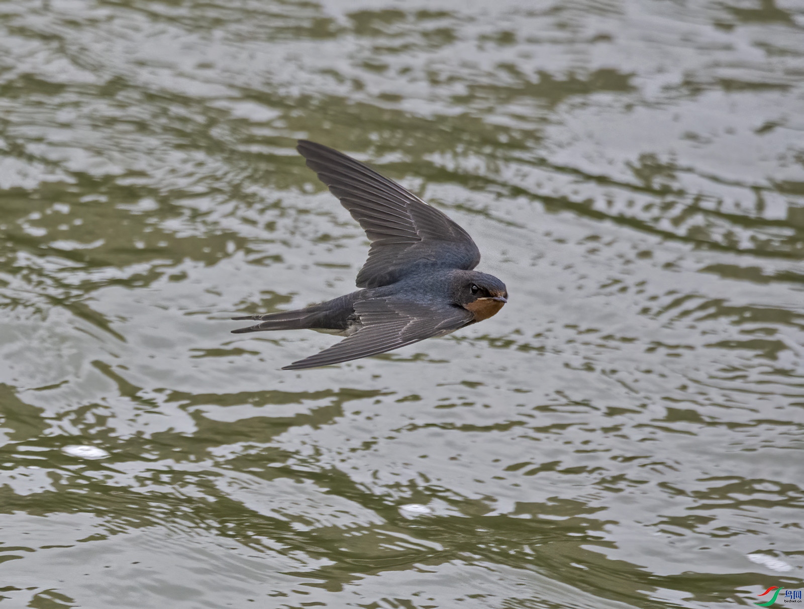 DSC_3776.jpg