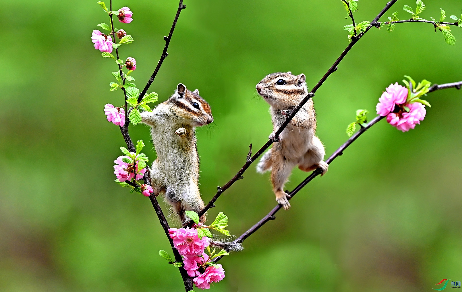 5.��ͬѰ��-������1037 AM.jpg