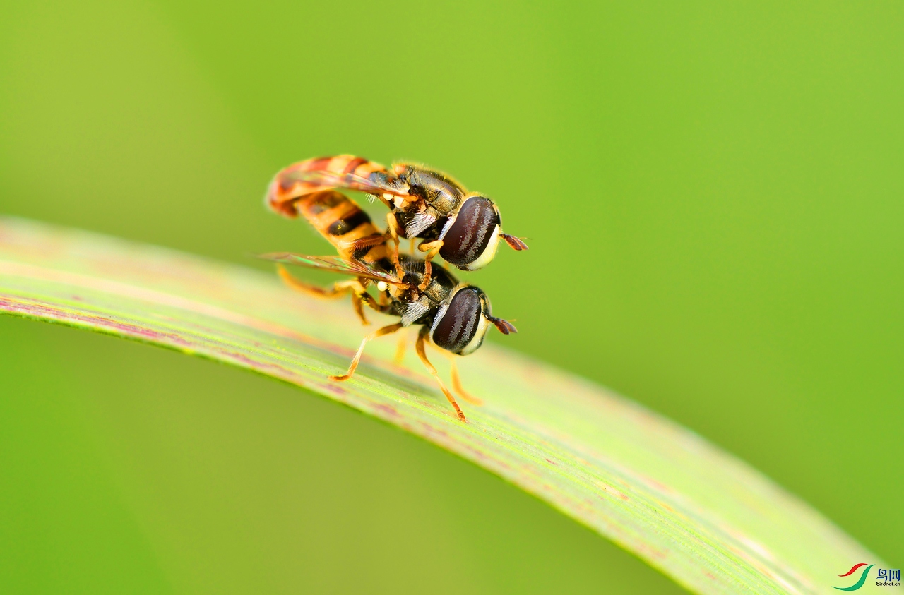 DSC_6783 ����.jpg