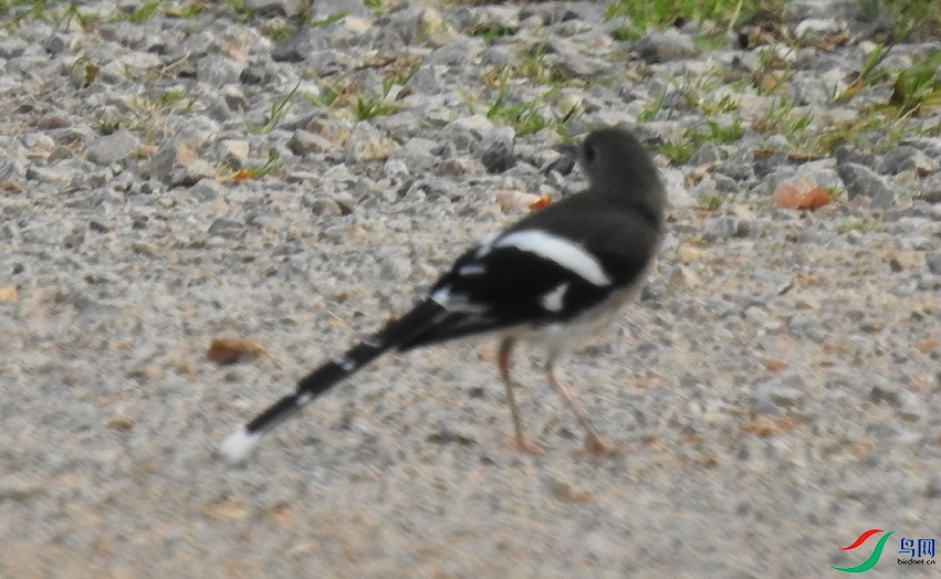 DSCN5465.JPG