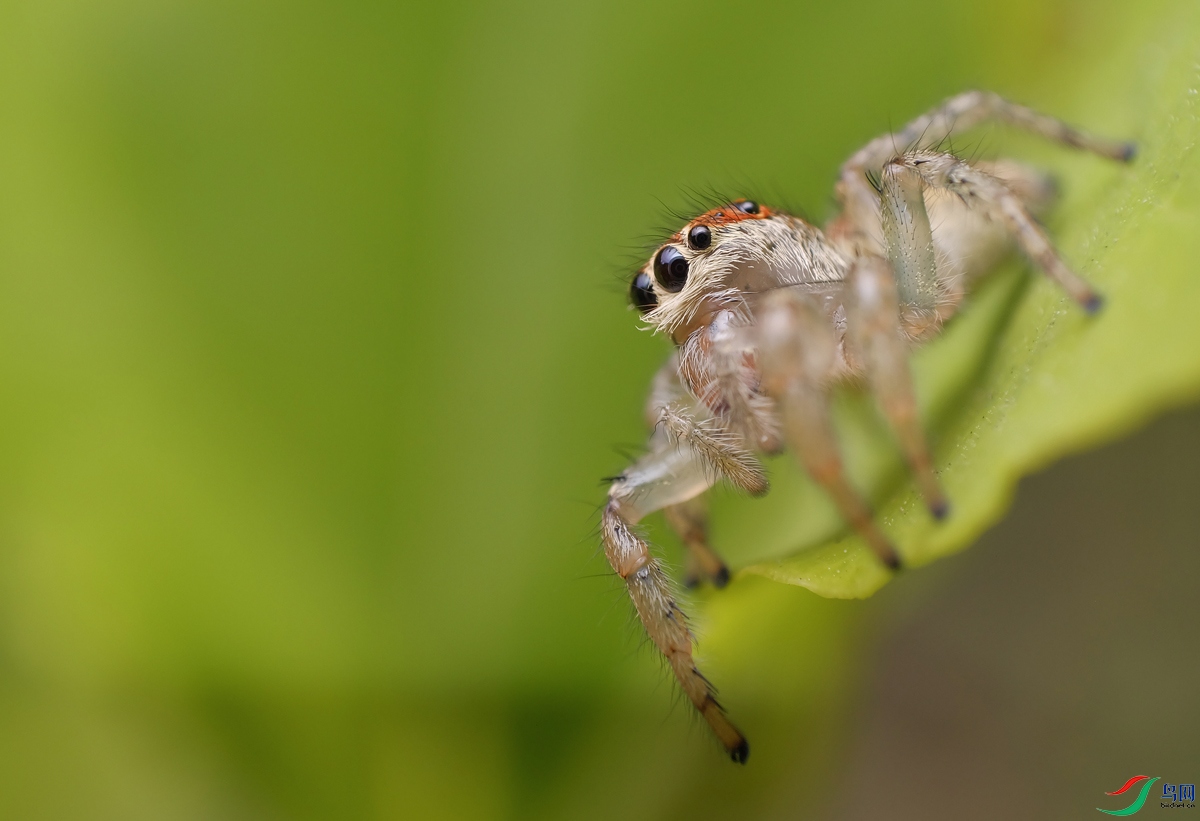 DSCF9651.jpg