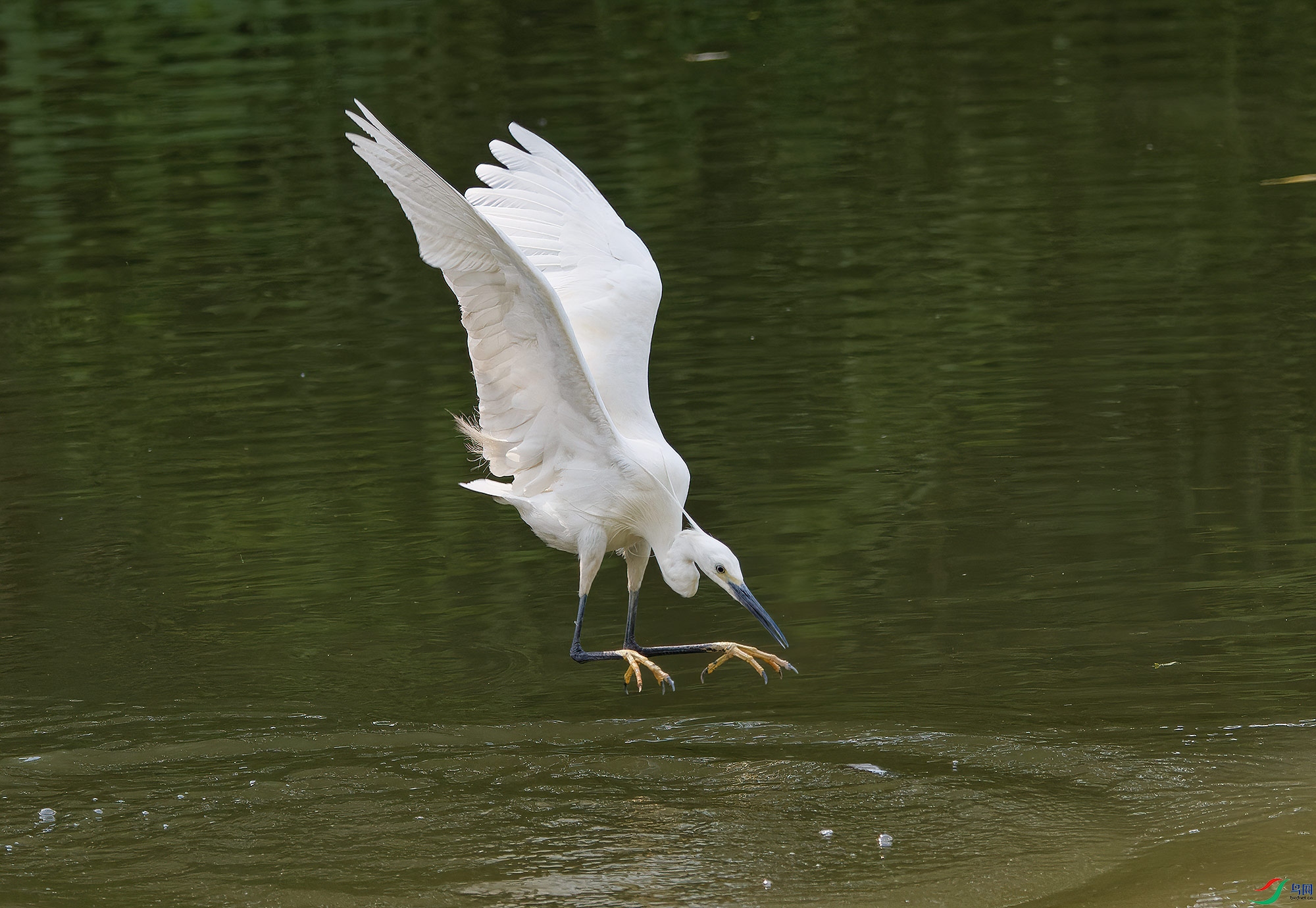 DSC_6887.jpg