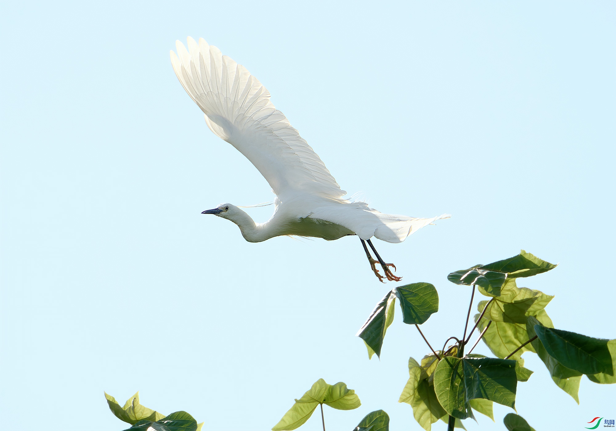 DSC_7223.jpg
