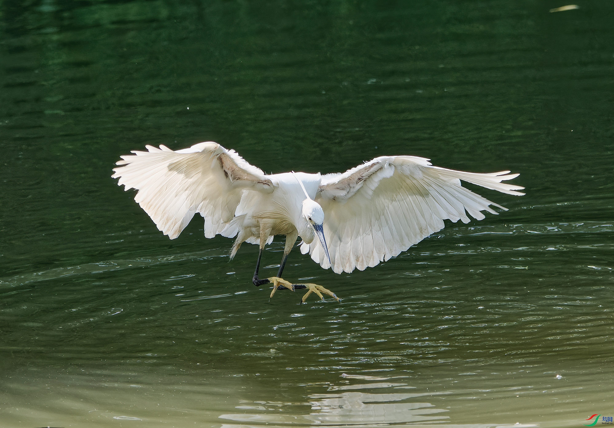 DSC_6853.jpg