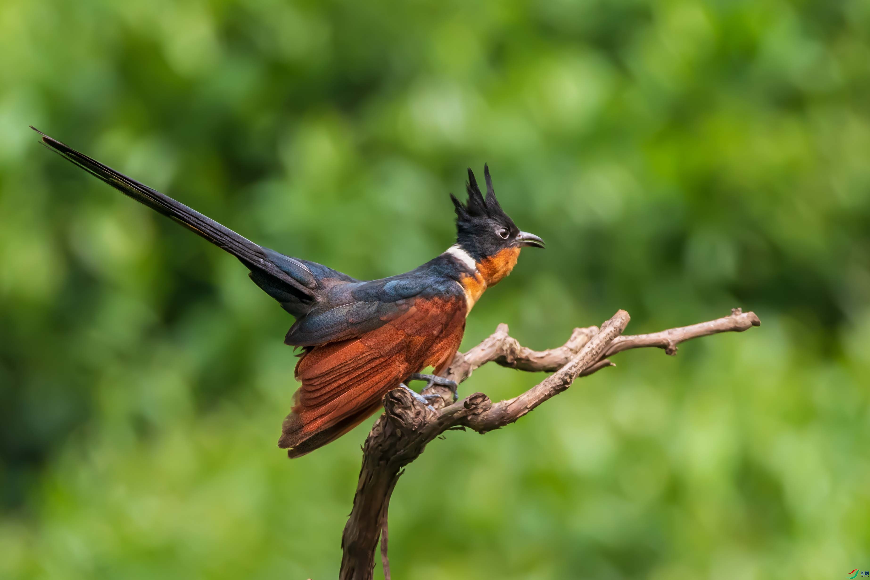DSC_3312-1.jpg