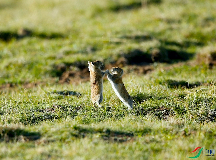 ����ս 2021060001�ĸ���.jpg