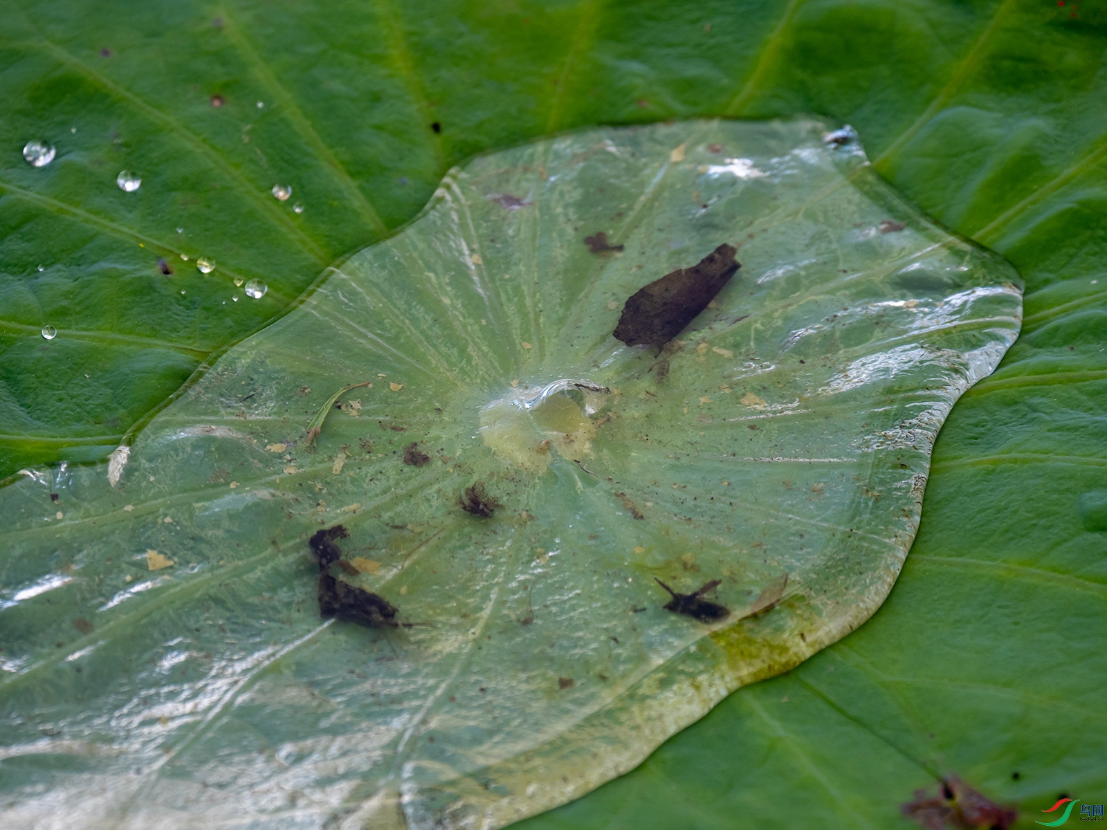 �д�����ӿ��