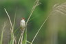 DSC00320w_��С��С.jpg