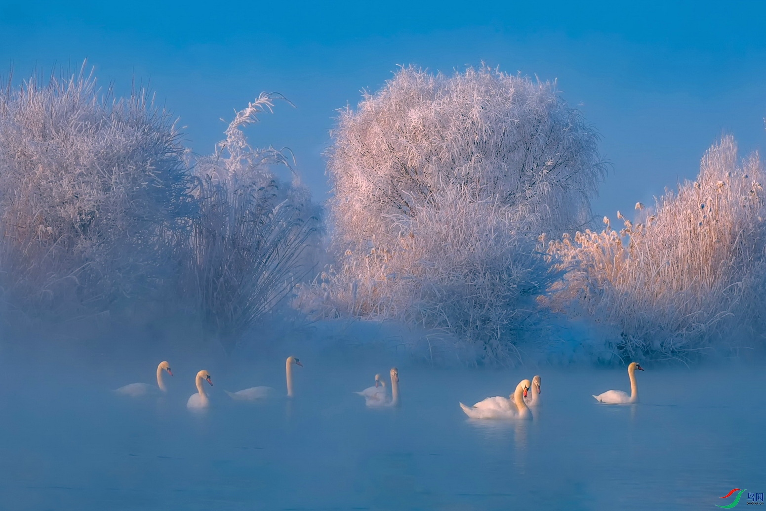 DSC_7146DF03S.jpg