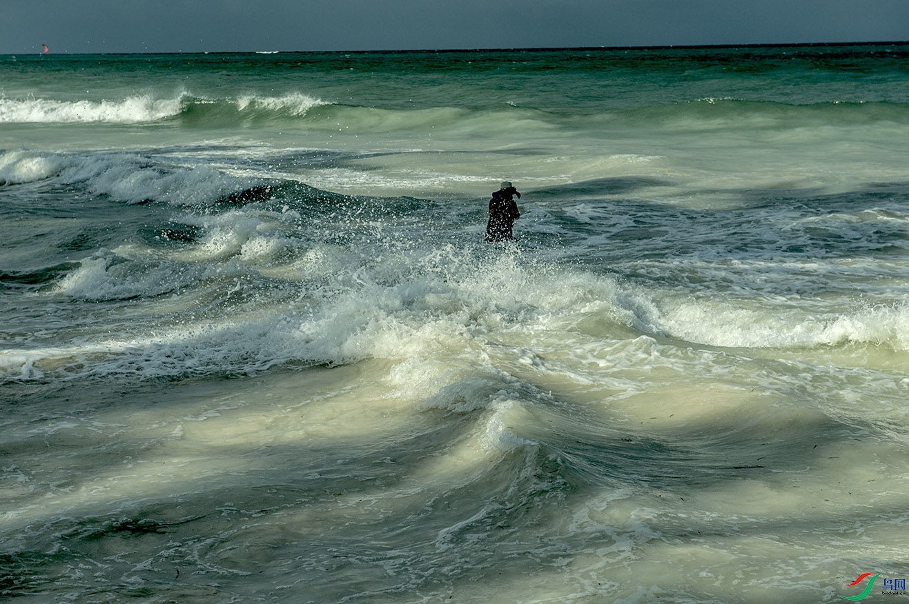 印度洋西海岸金海滩