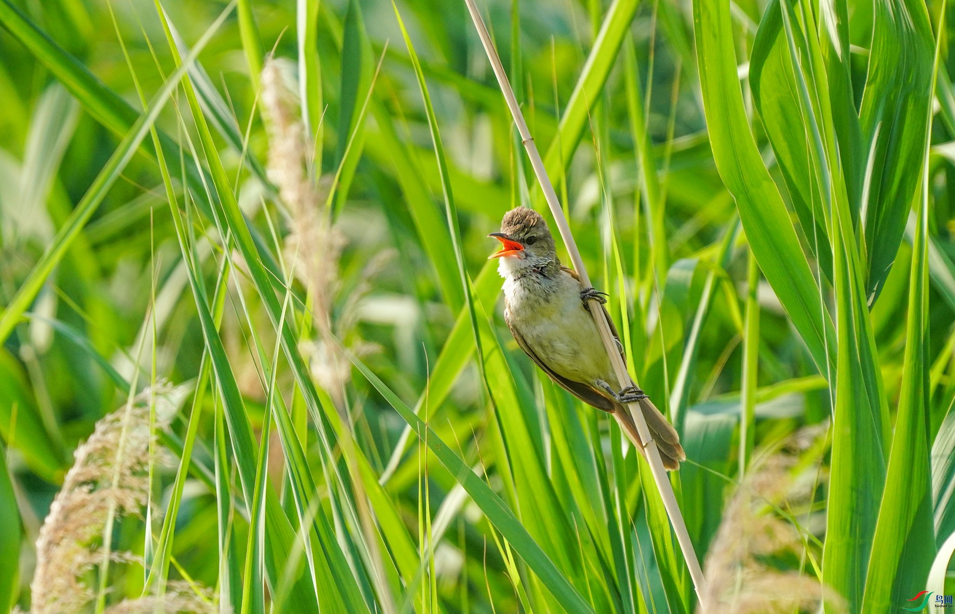 1 DSC09693_����.jpg