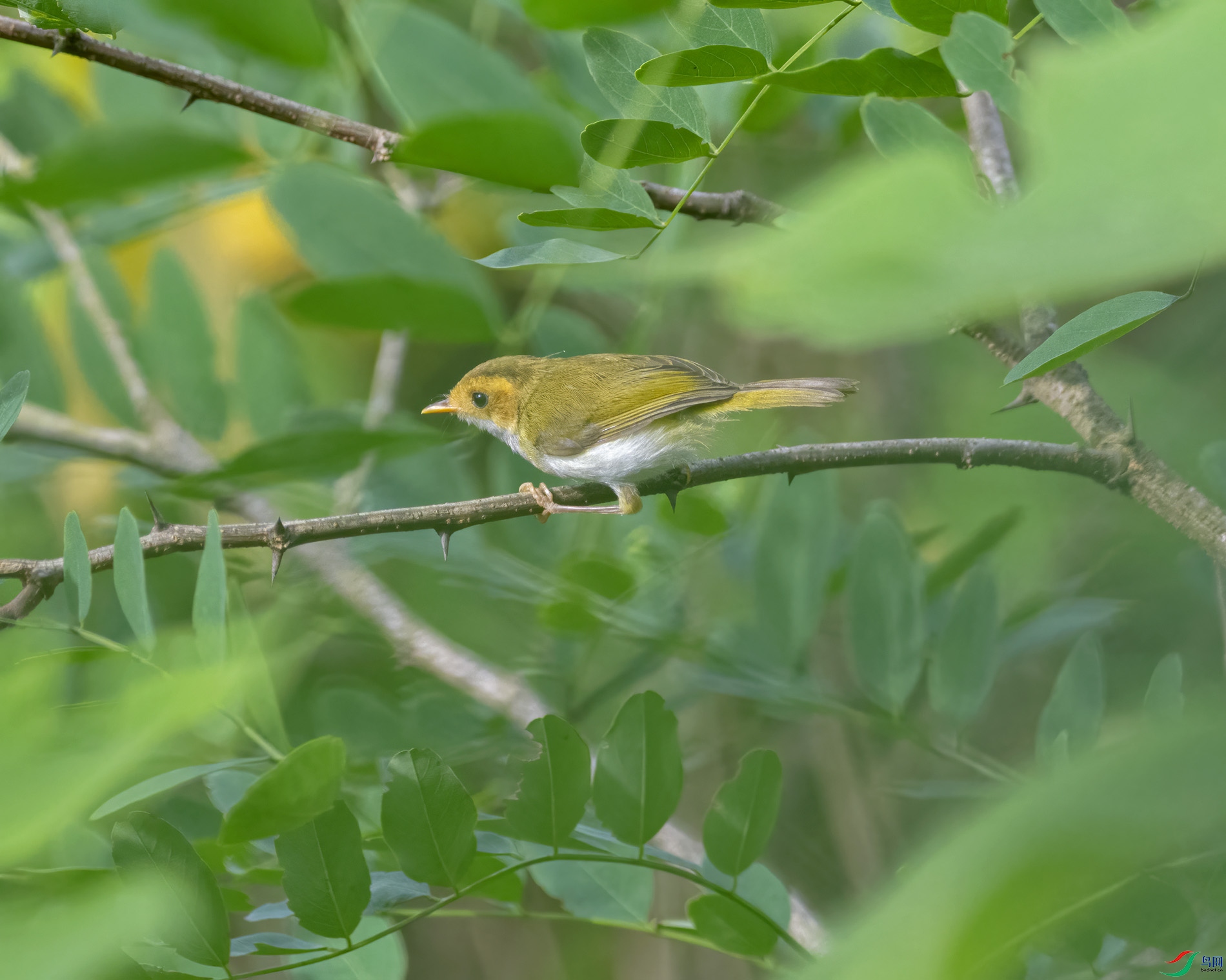 DSC_5633.jpg
