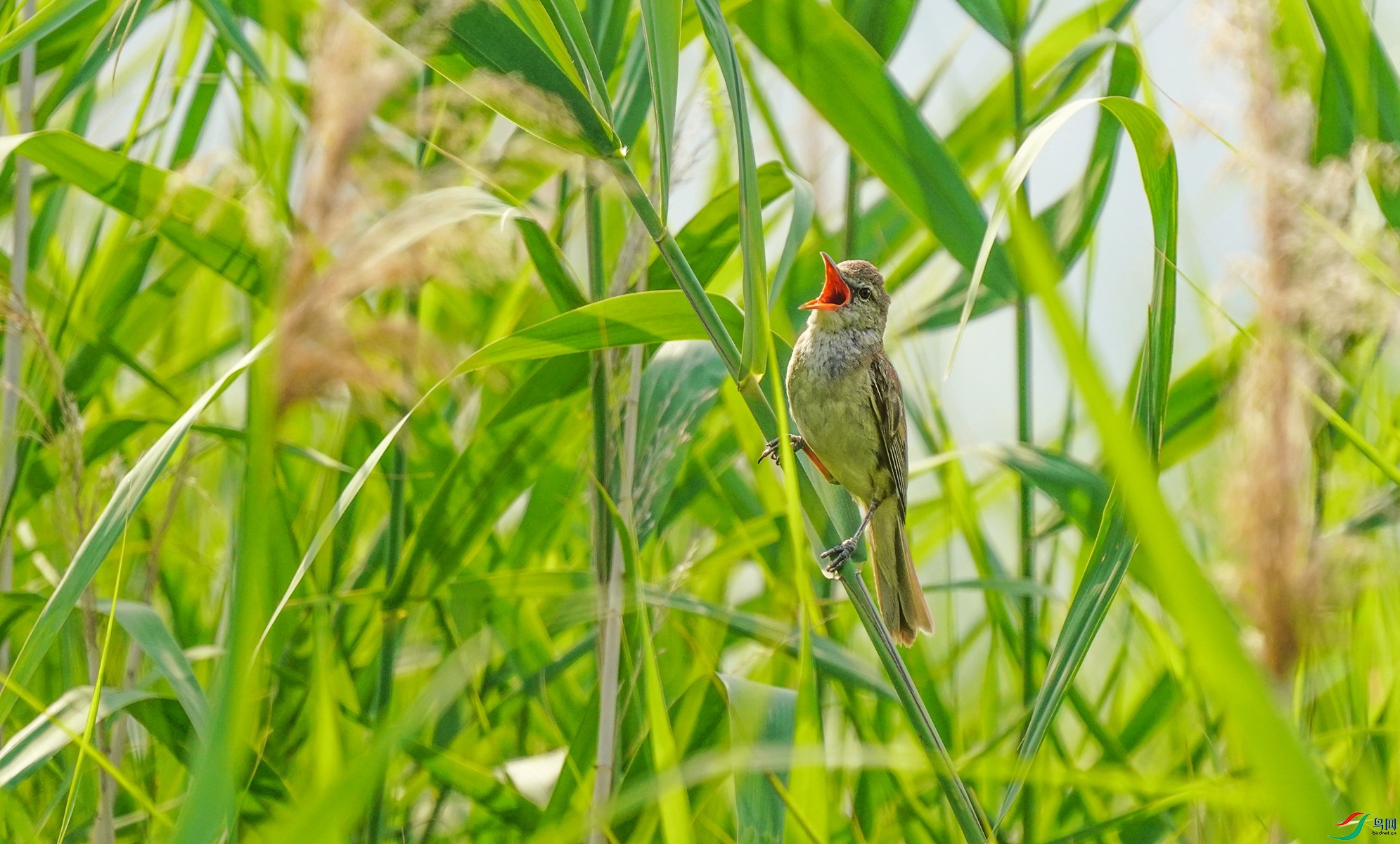 1 DSC09737_����.jpg