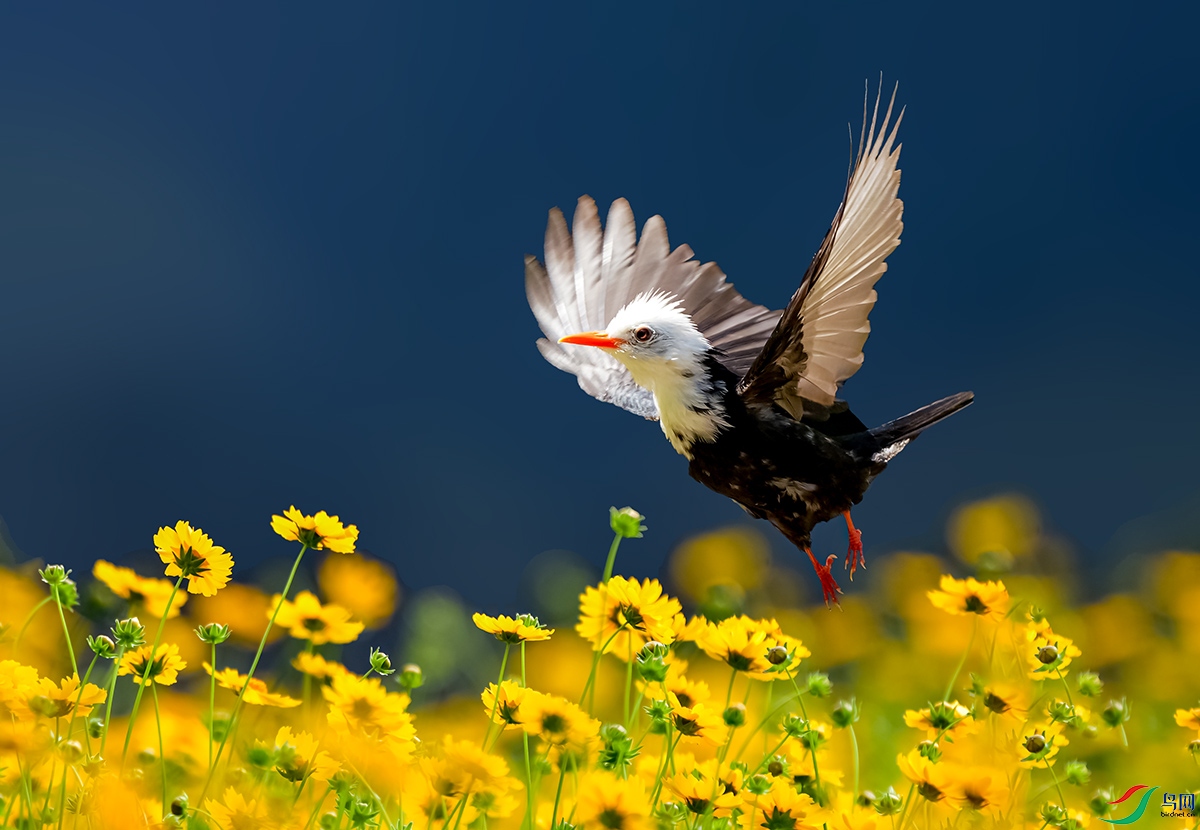 DSC_5084-1.jpg