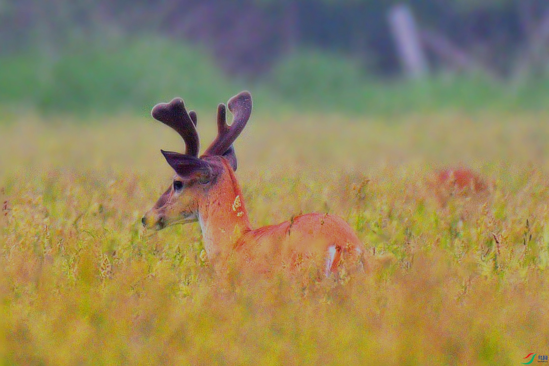 DSC_0768_����.jpg