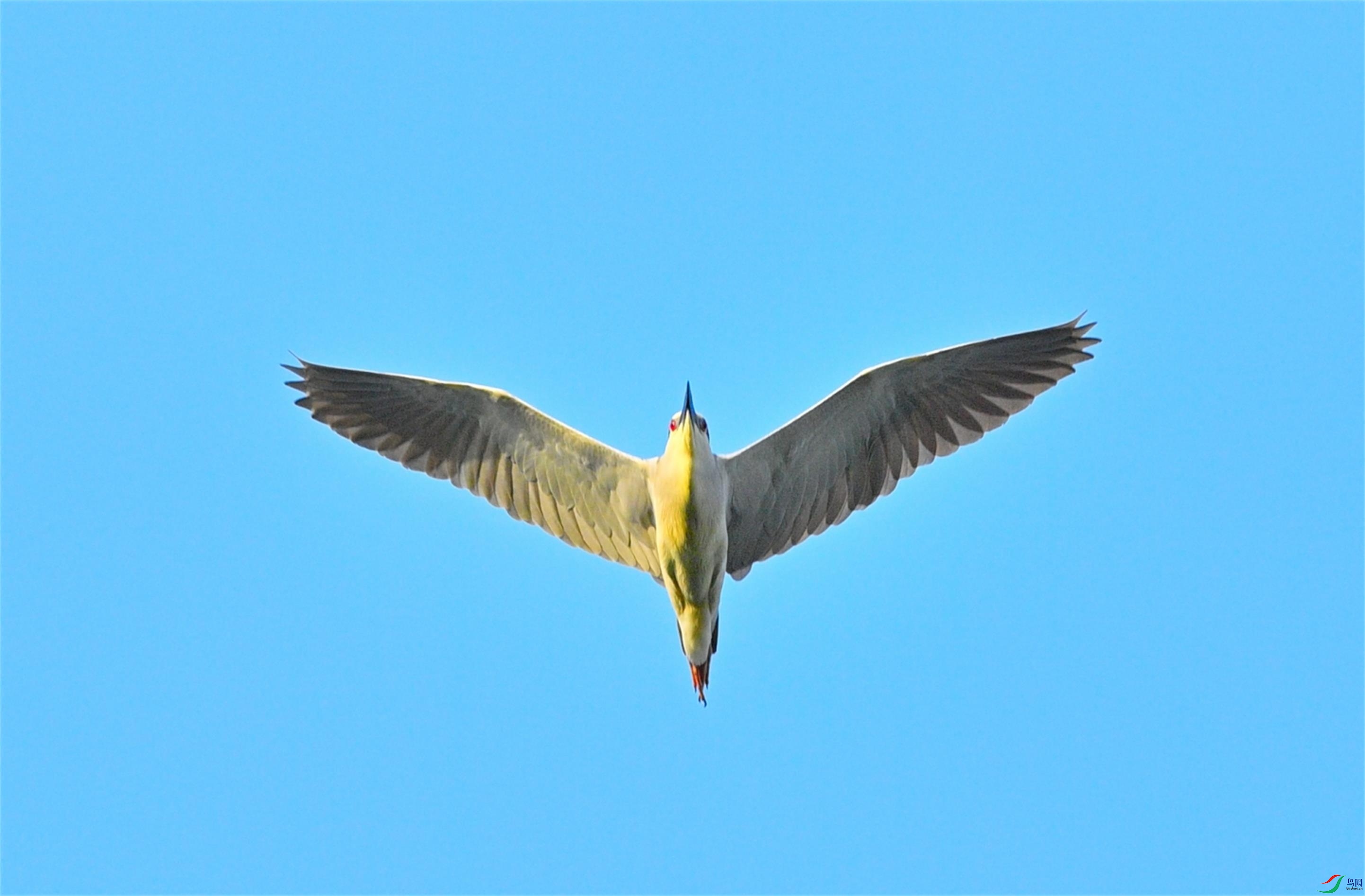 DSC_53671.jpg