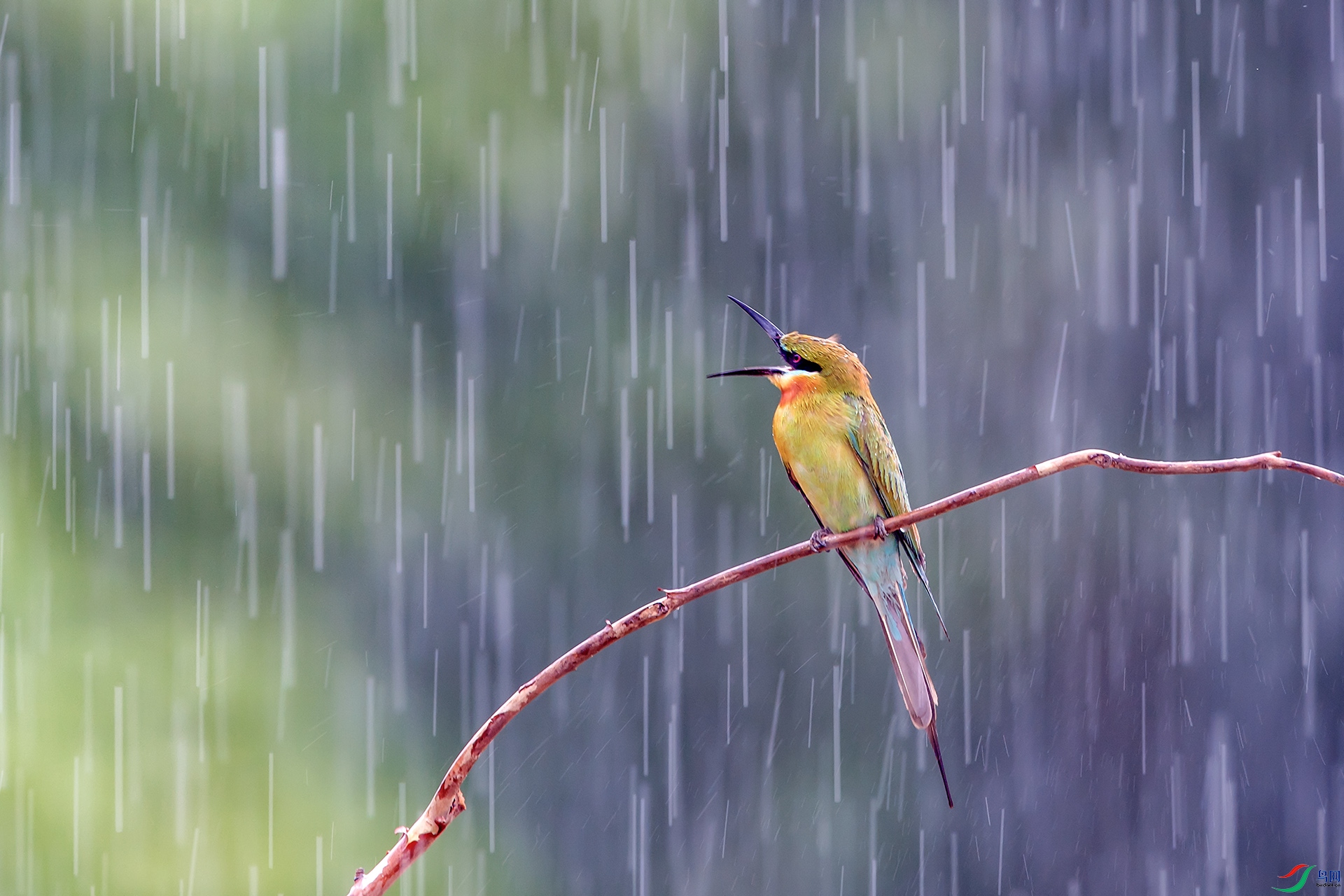 风雨无阻