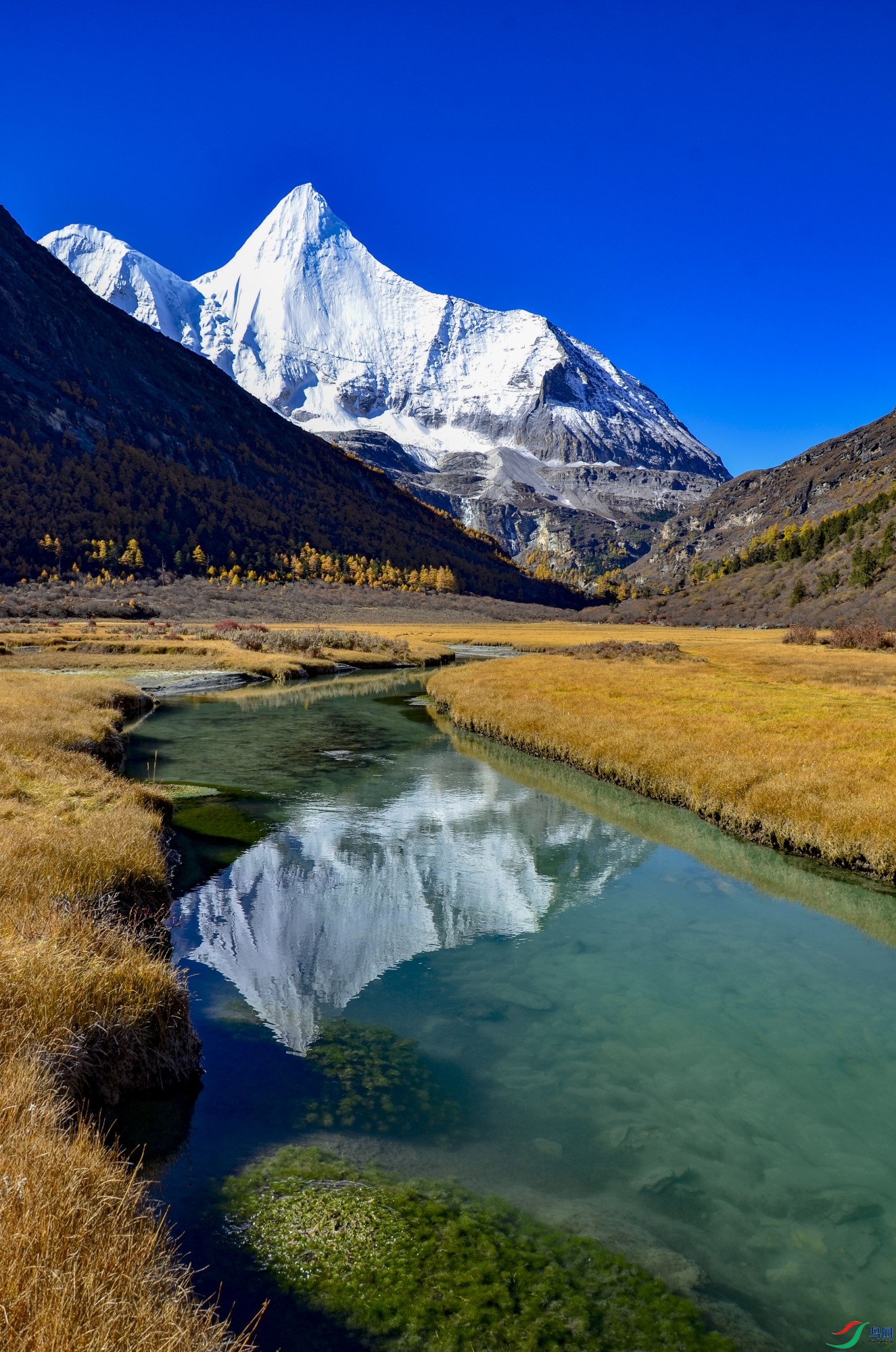 雪山微信背景图图片