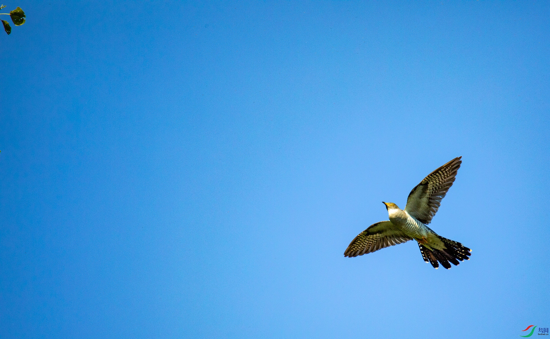 ��ž�Ȥ�� (5).jpg