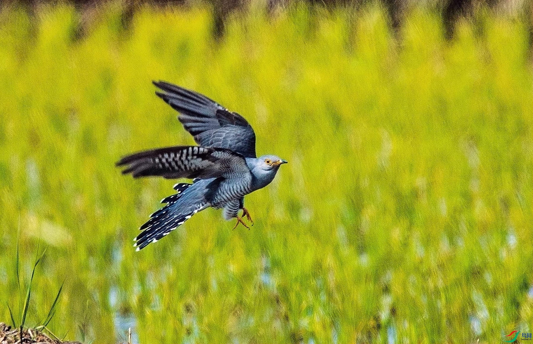 ��ž�Ȥ�� (3).jpg