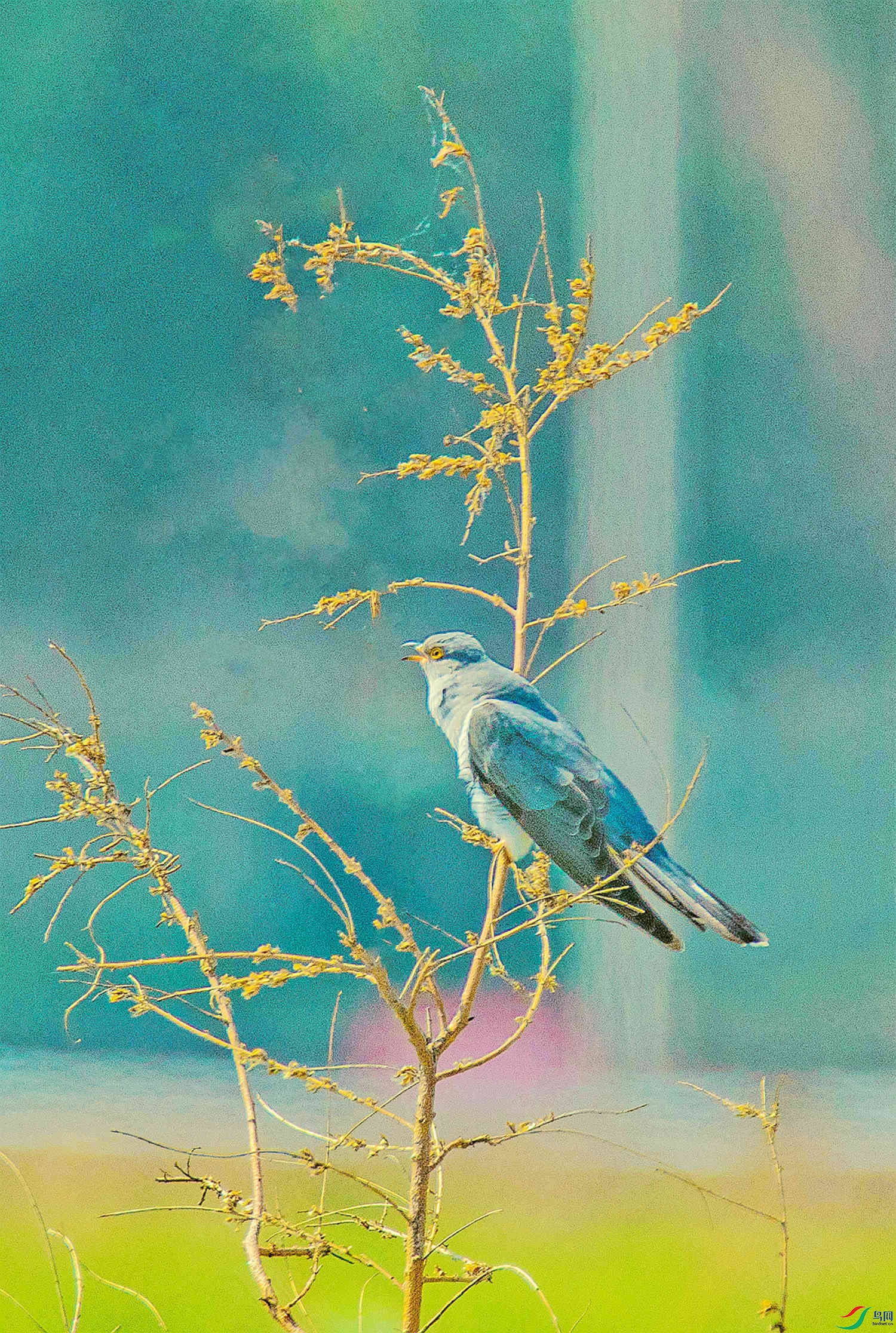 ��ž�Ȥ�� (1).jpg