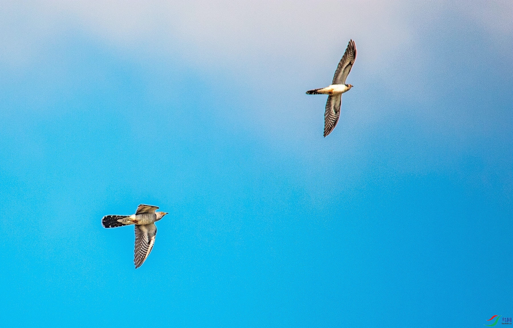 ��ž�Ȥ�� (2).jpg