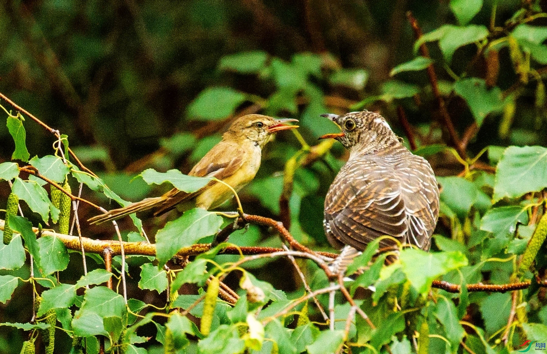 ��ž�Ȥ�� (6).jpg