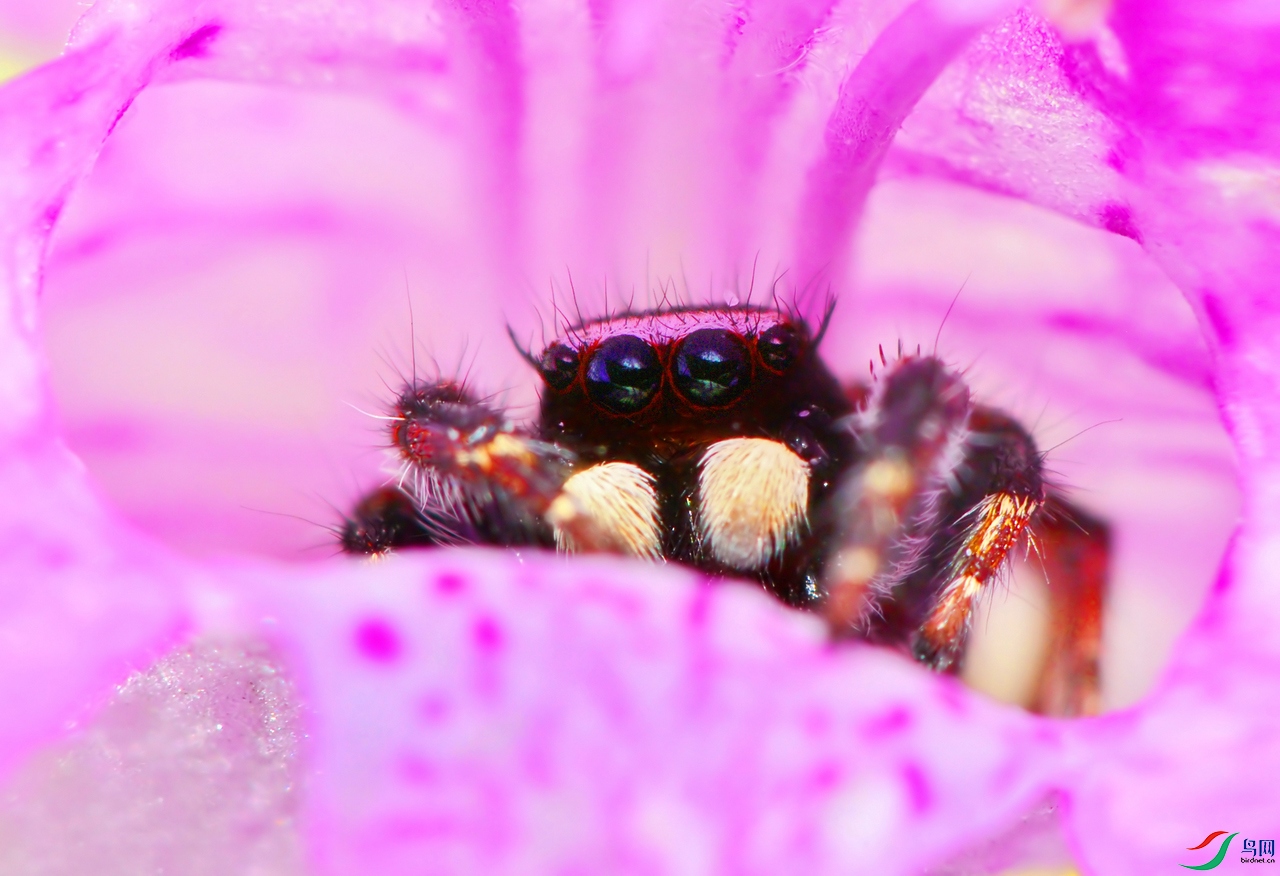 DSC_9390.jpg
