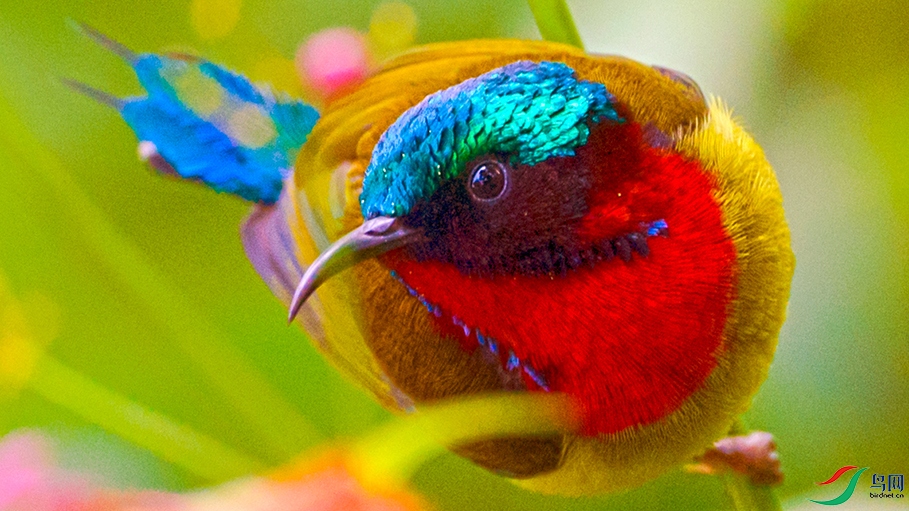 ��DSC_5321.jpg