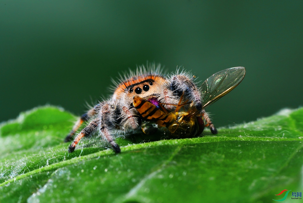 DSC_5057 ��������.jpg