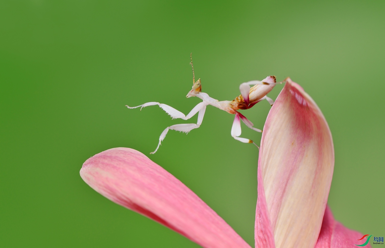 DSC_5899 ����.jpg