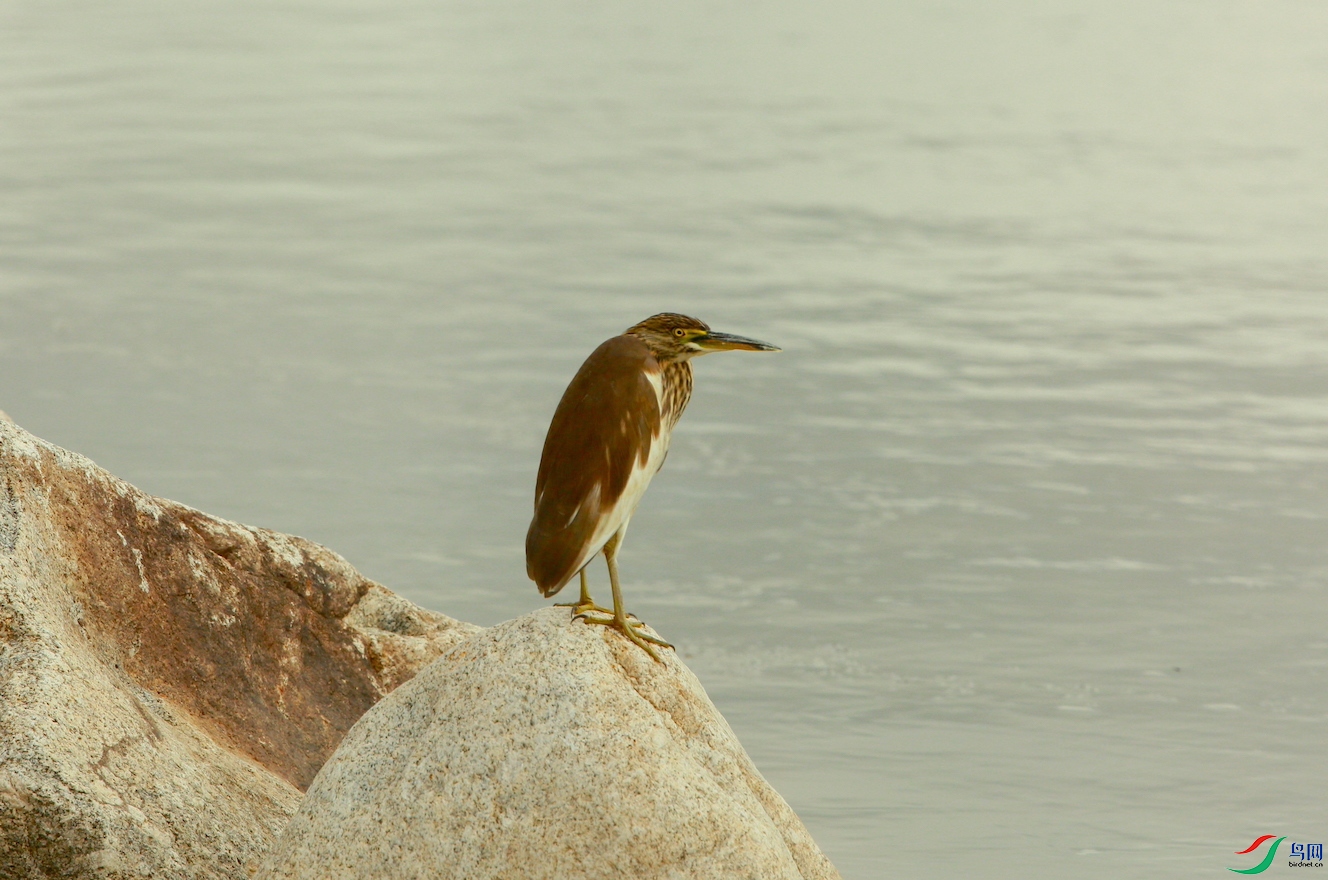 ���� 20170930.JPG