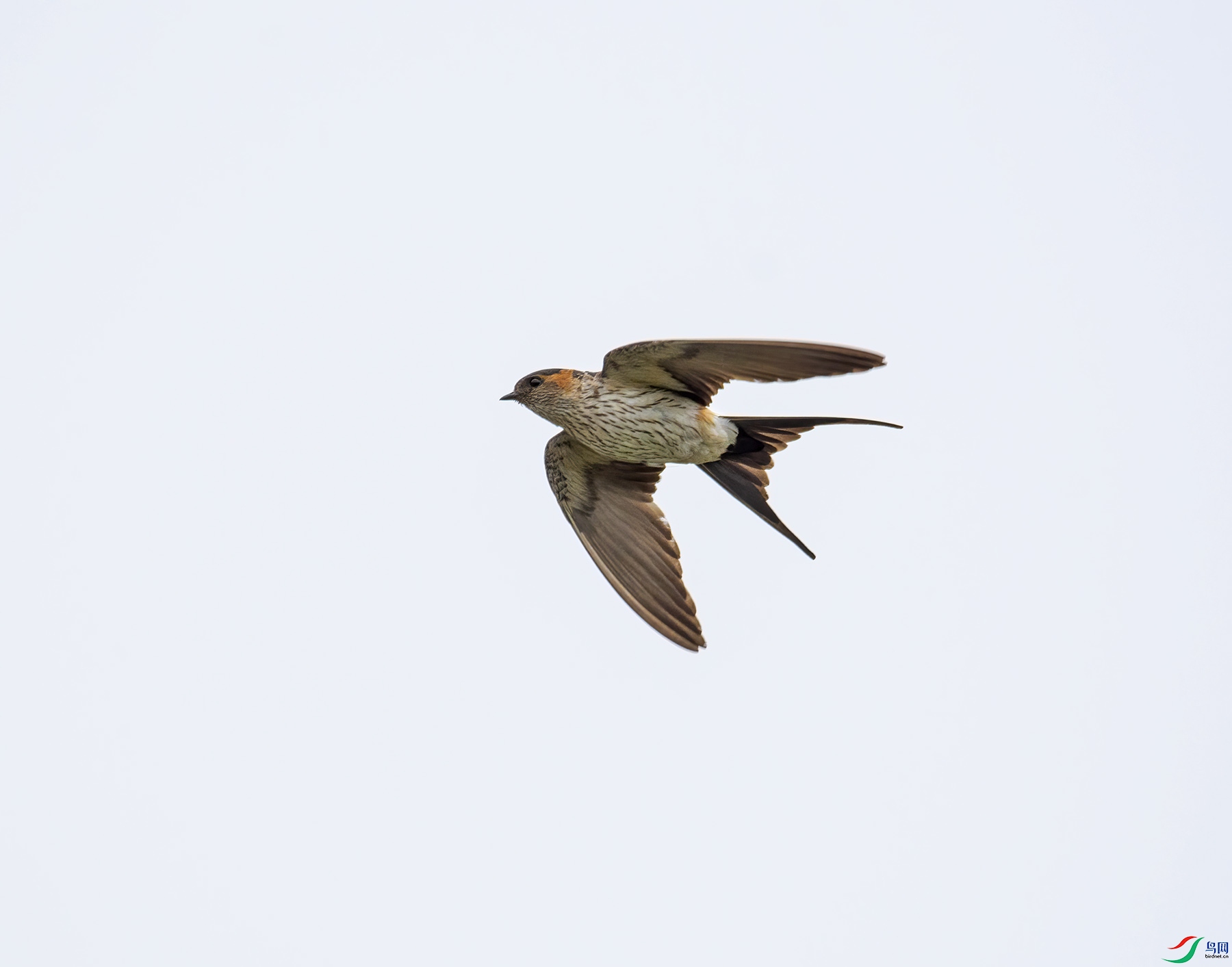 DSC_4639.jpg