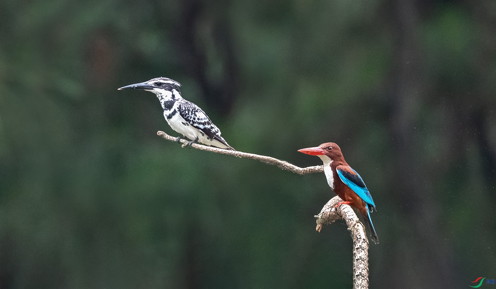 DSC_9274.jpg