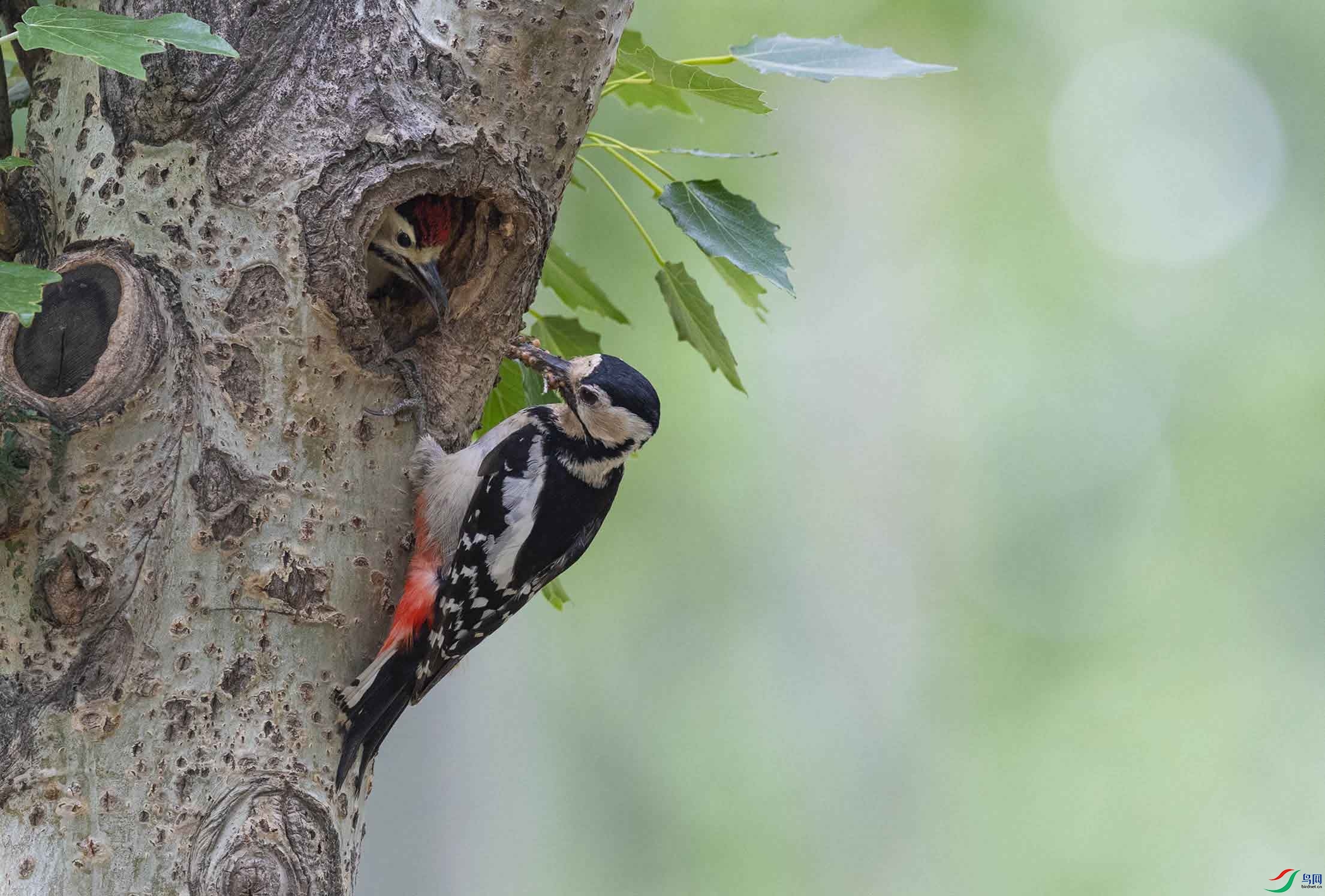 DSC_2135-3.jpg