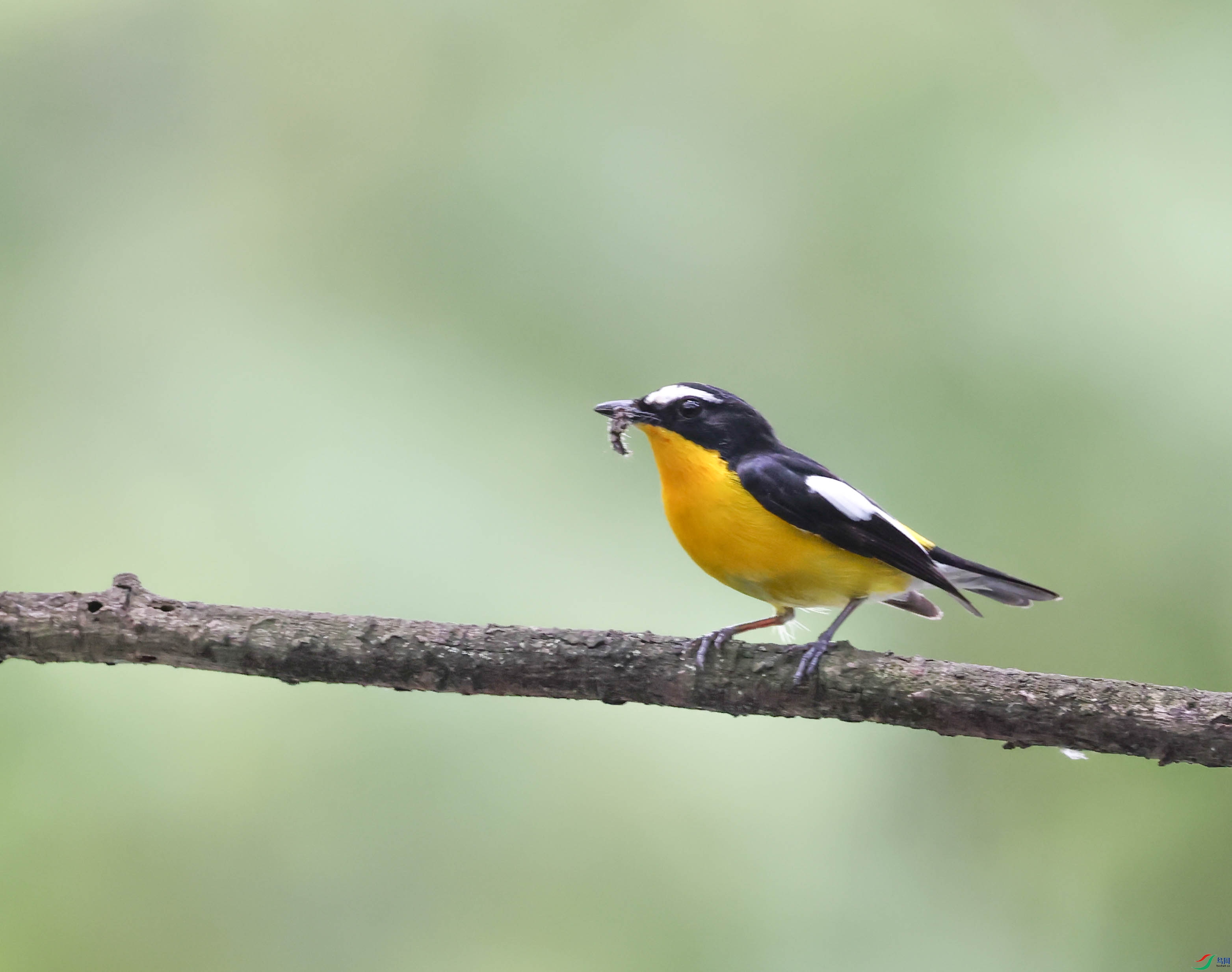 5��29�������ü���l