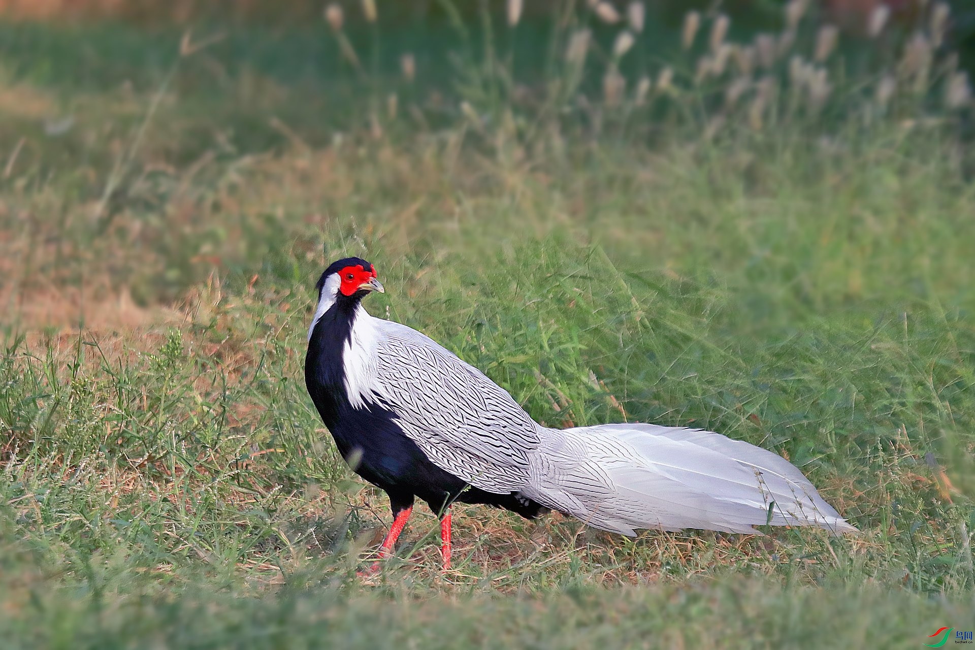 AS8I0322_����.jpg