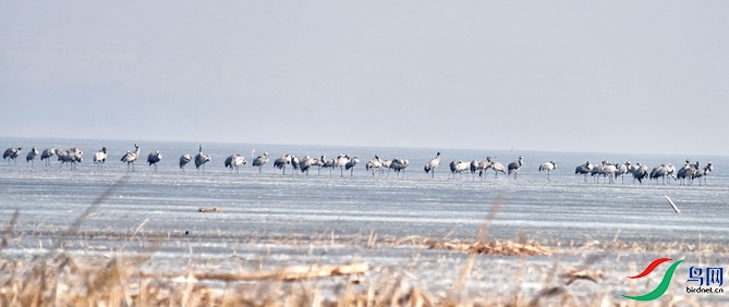 DSC_8735_���� - ����_����.jpg