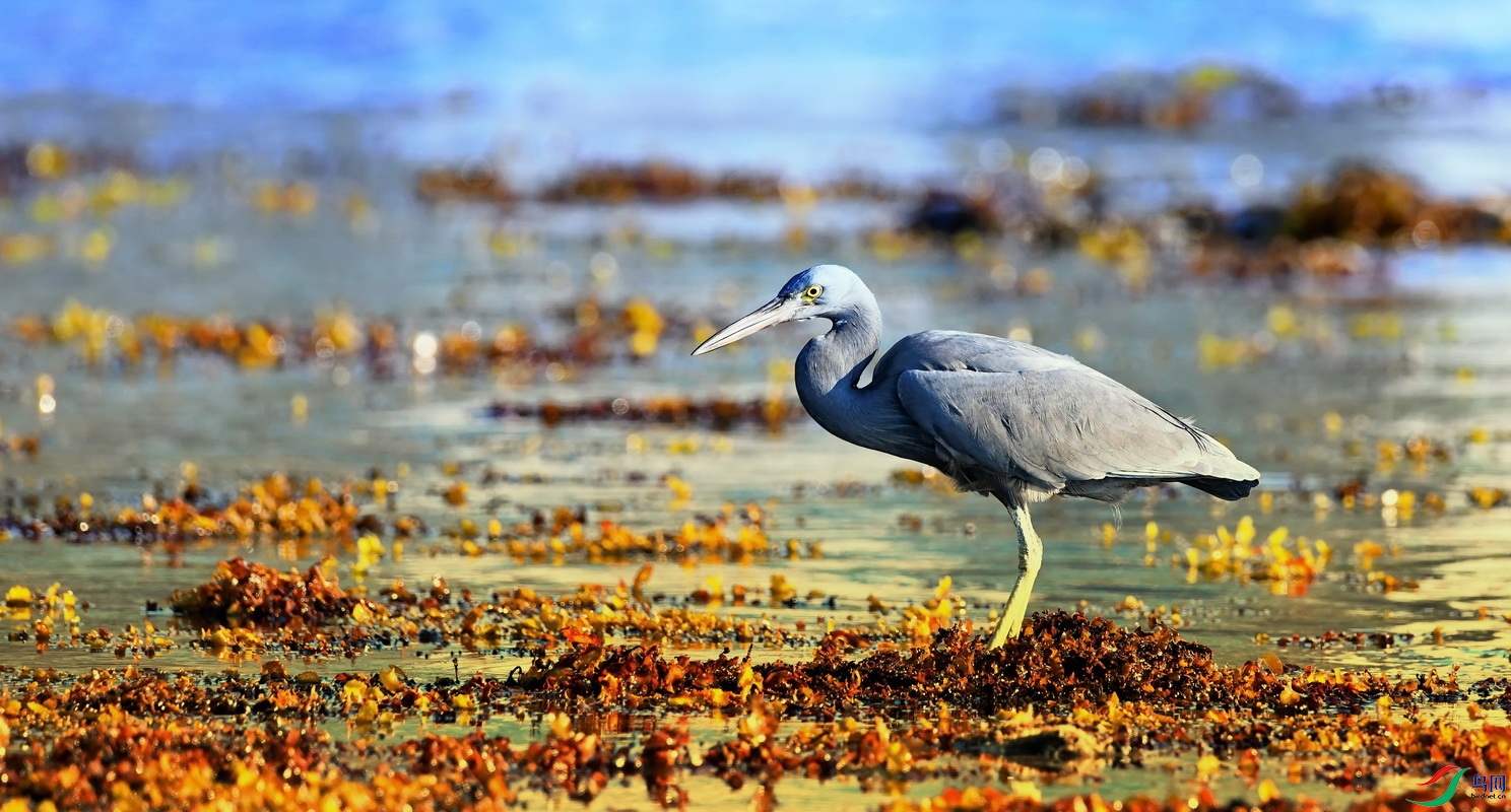 DSC_5677a.jpg