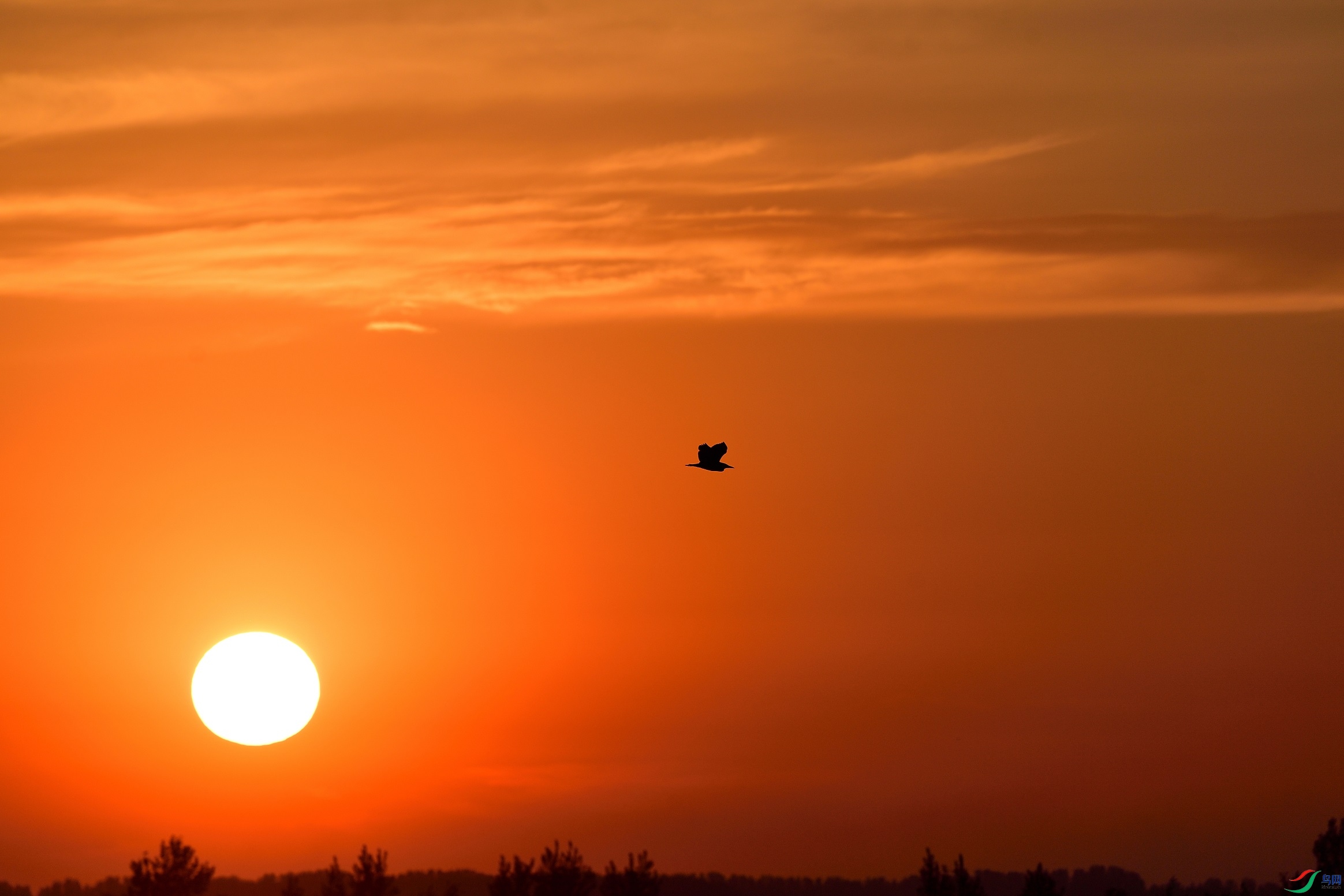 21N_4129_00001.jpg